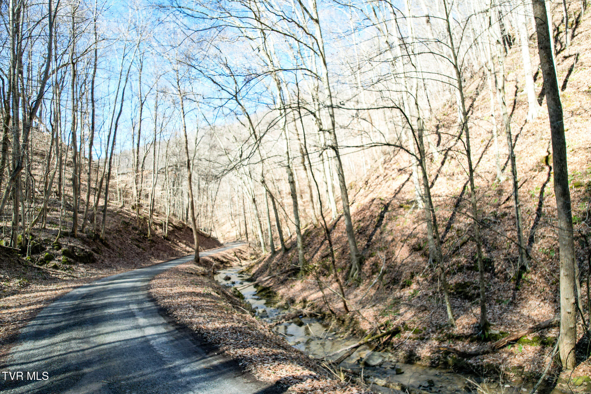 2929 Bear Hollow Road Greeneville, TN 37745 - Photo 32 of 39 32