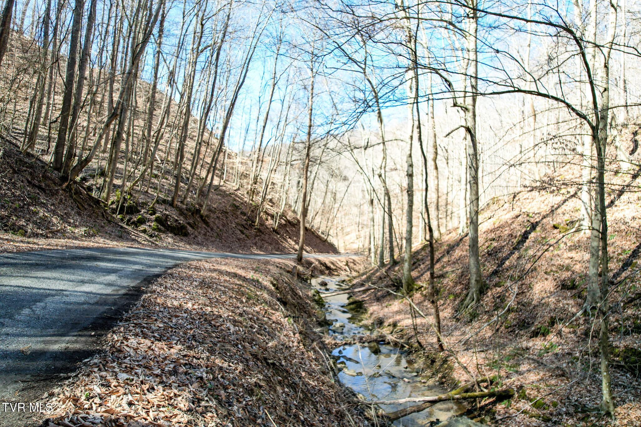 2929 Bear Hollow Road Greeneville, TN 37745 - Photo 33 of 39 33