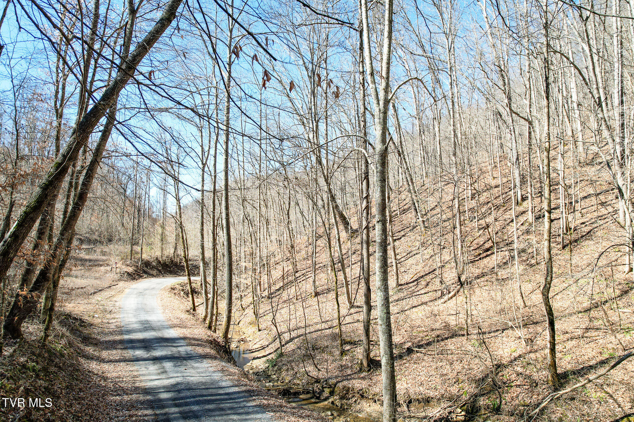 2929 Bear Hollow Road Greeneville, TN 37745 - Photo 34 of 39 34