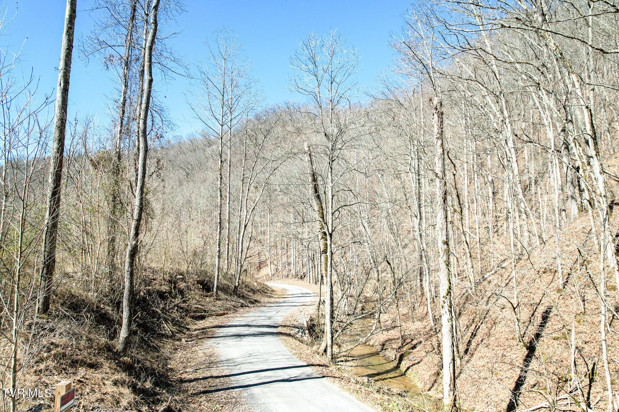 2929 Bear Hollow Road Greeneville, TN 37745 - Photo 35 of 39 35