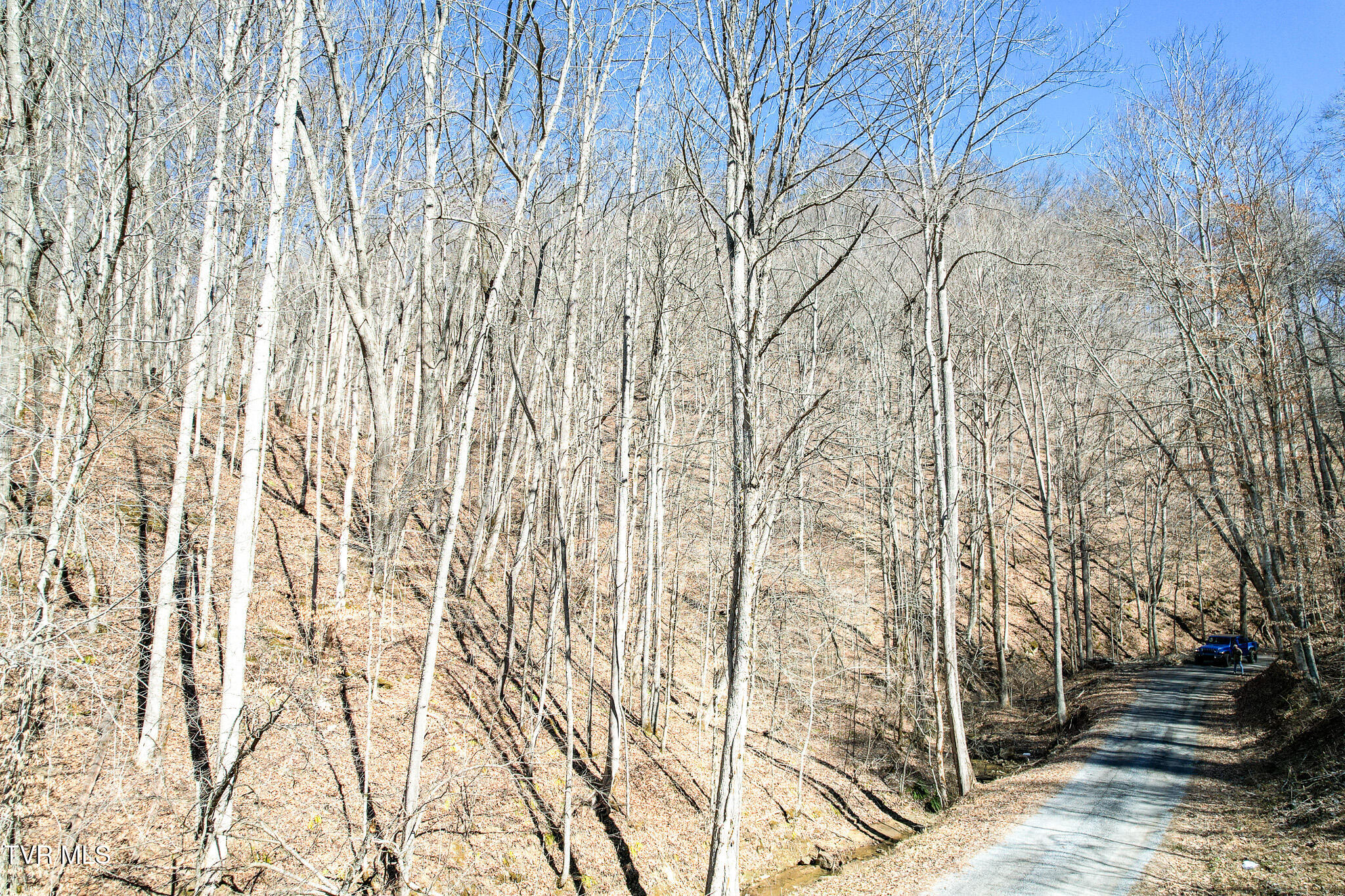2929 Bear Hollow Road Greeneville, TN 37745 - Photo 36 of 39 36