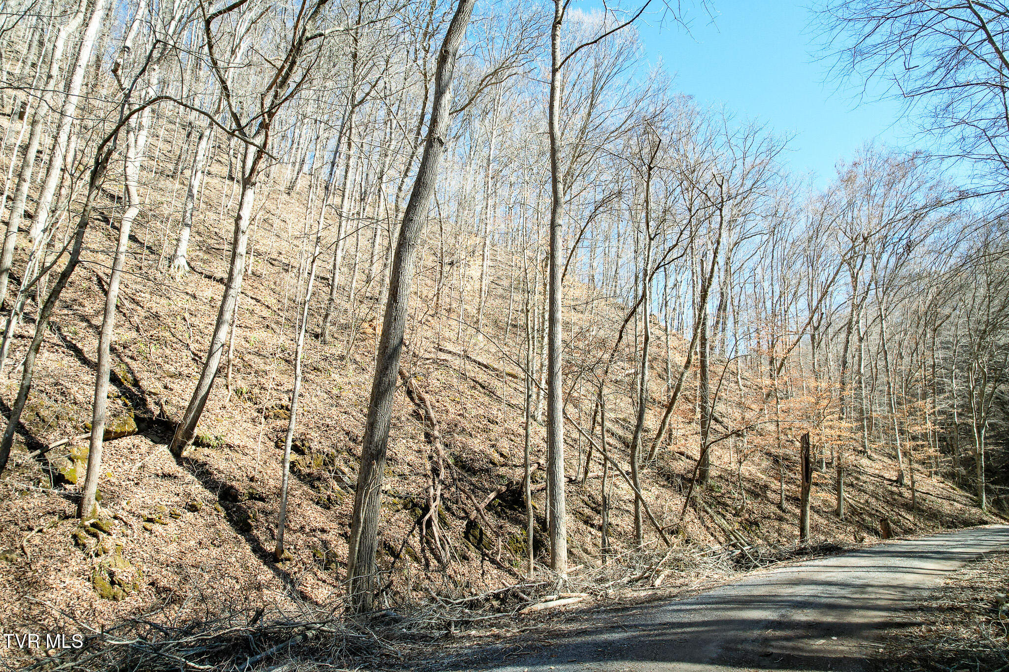 2929 Bear Hollow Road Greeneville, TN 37745 - Photo 39 of 39 39