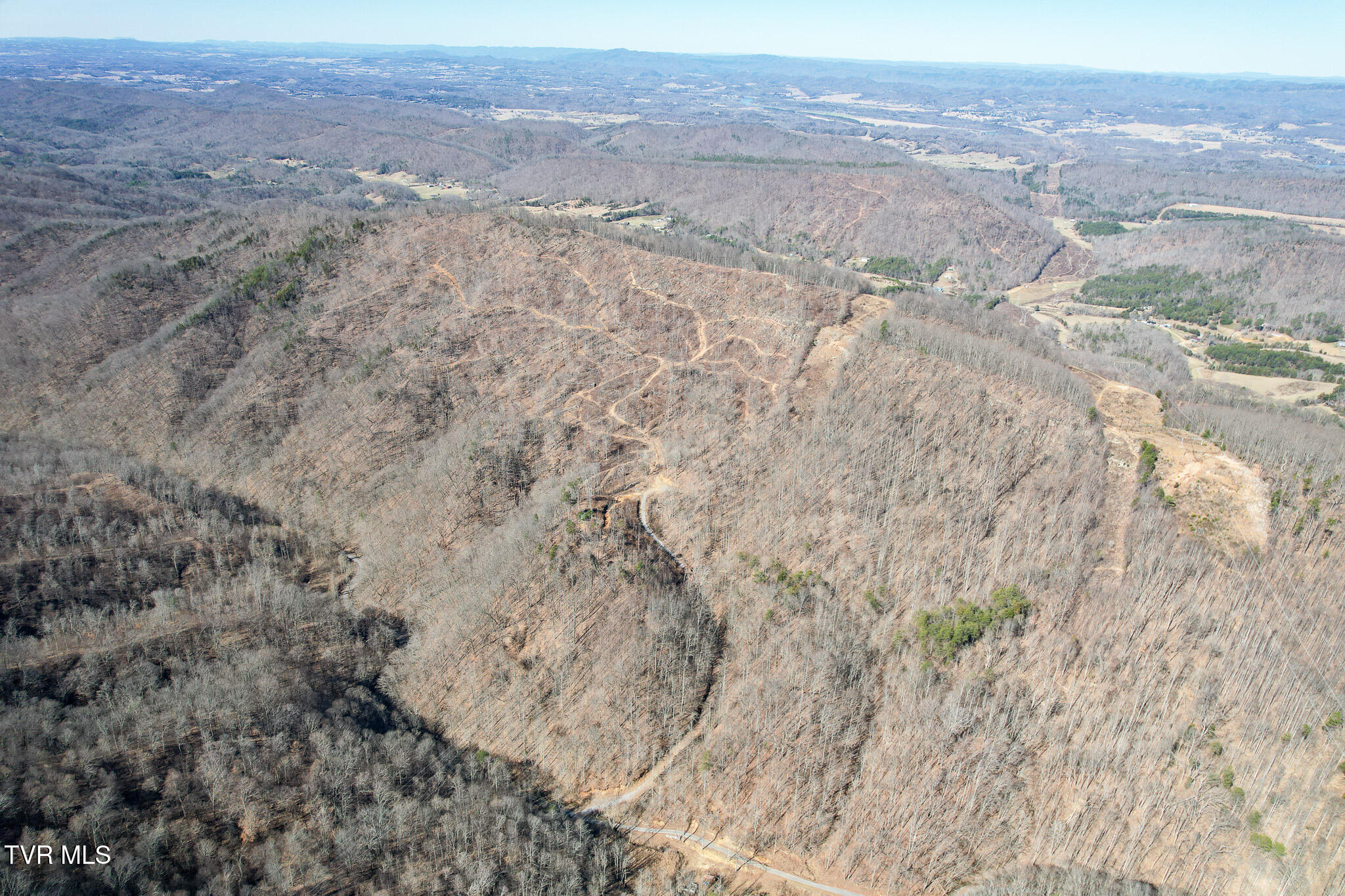2929 Bear Hollow Road Greeneville, TN 37745 - Photo 5 of 39 5