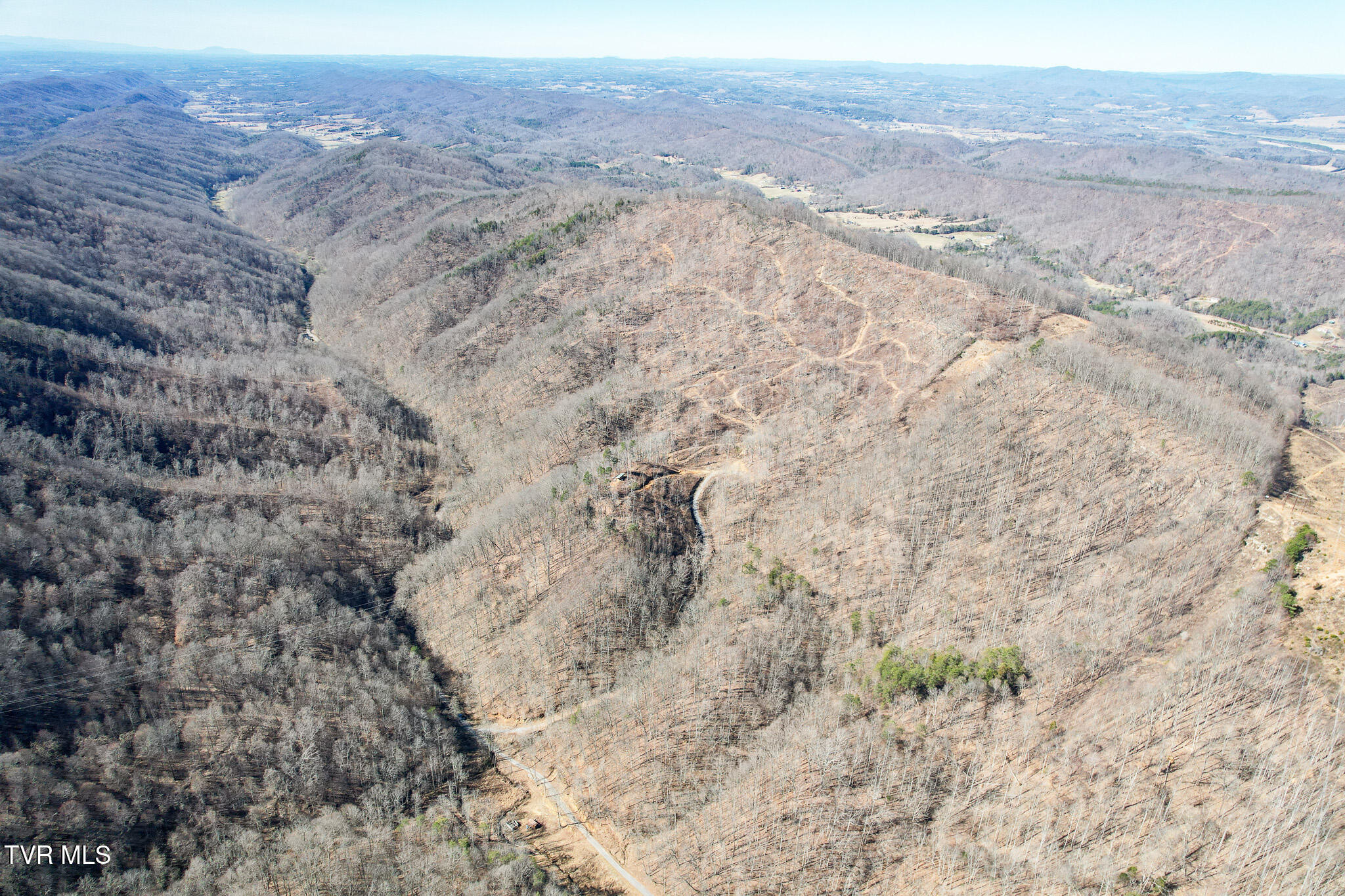 2929 Bear Hollow Road Greeneville, TN 37745 - Photo 6 of 39 6