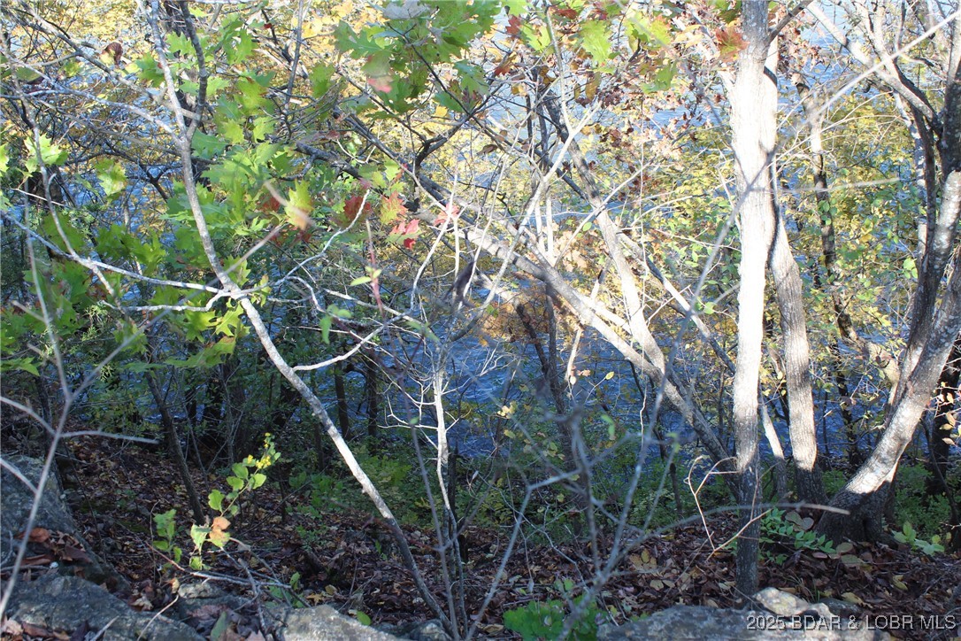 3955 Woodson Point Road Stover, MO 65078 - Photo 7 of 9