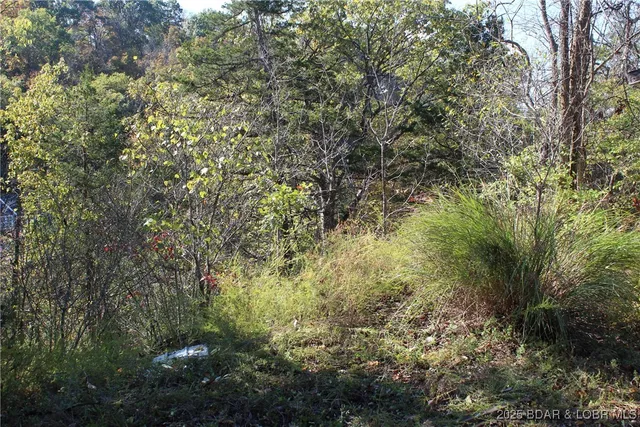 $149,900 | 3955 Woodson Point Road, Stover, MO 65078