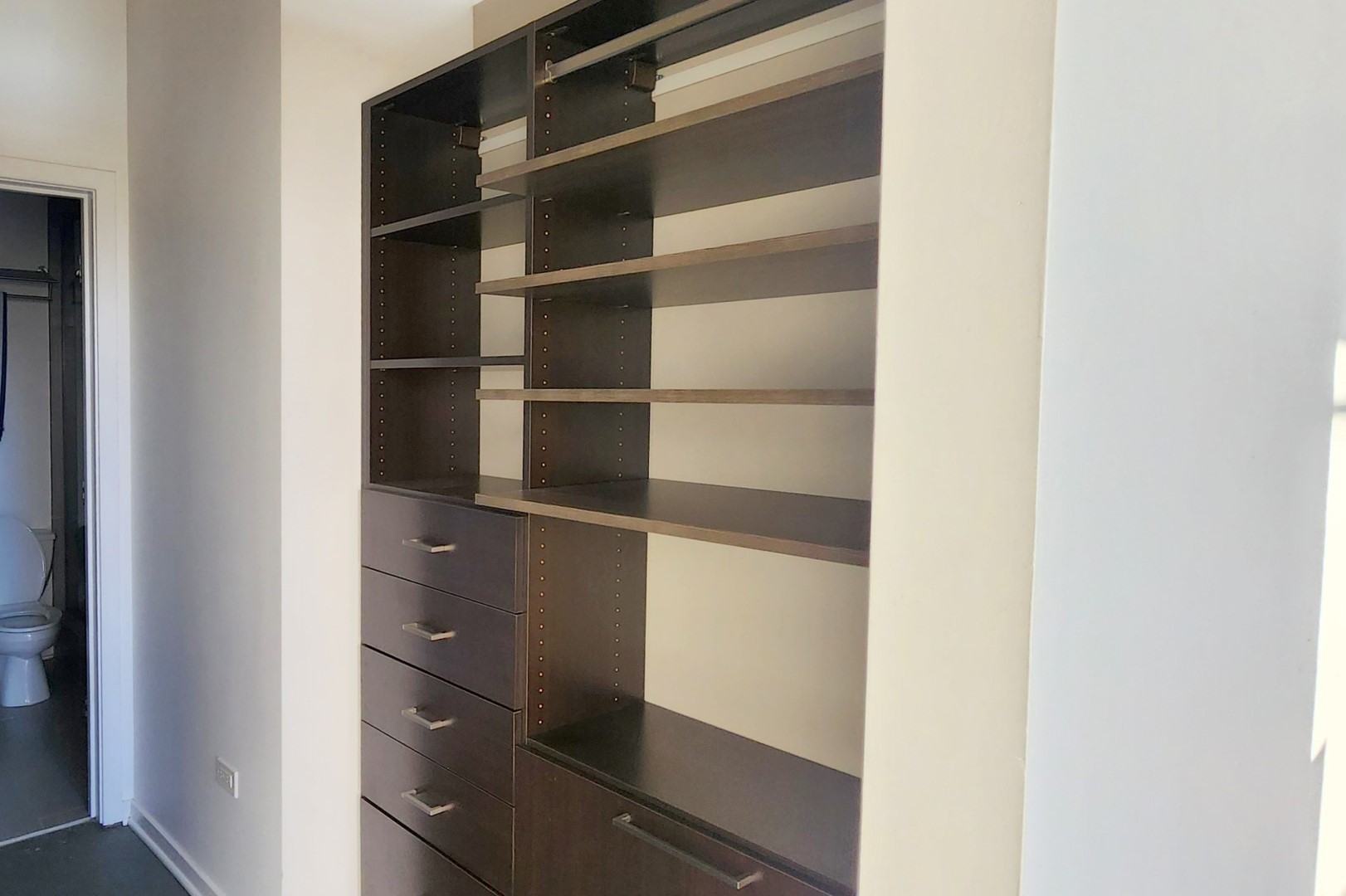 1645 West Ogden Avenue, Unit 417 Chicago, IL 60612 - Photo 6 of 19 a view of walk in closet with empty racks