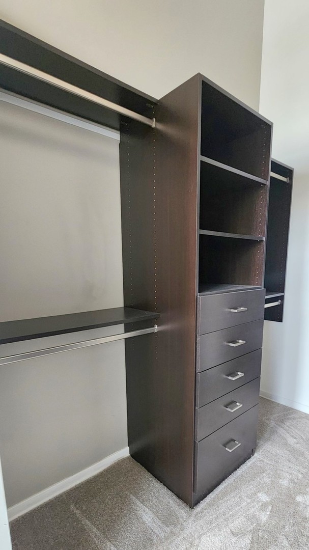 1645 West Ogden Avenue, Unit 417 Chicago, IL 60612 - Photo 7 of 19 a view of walk in closet