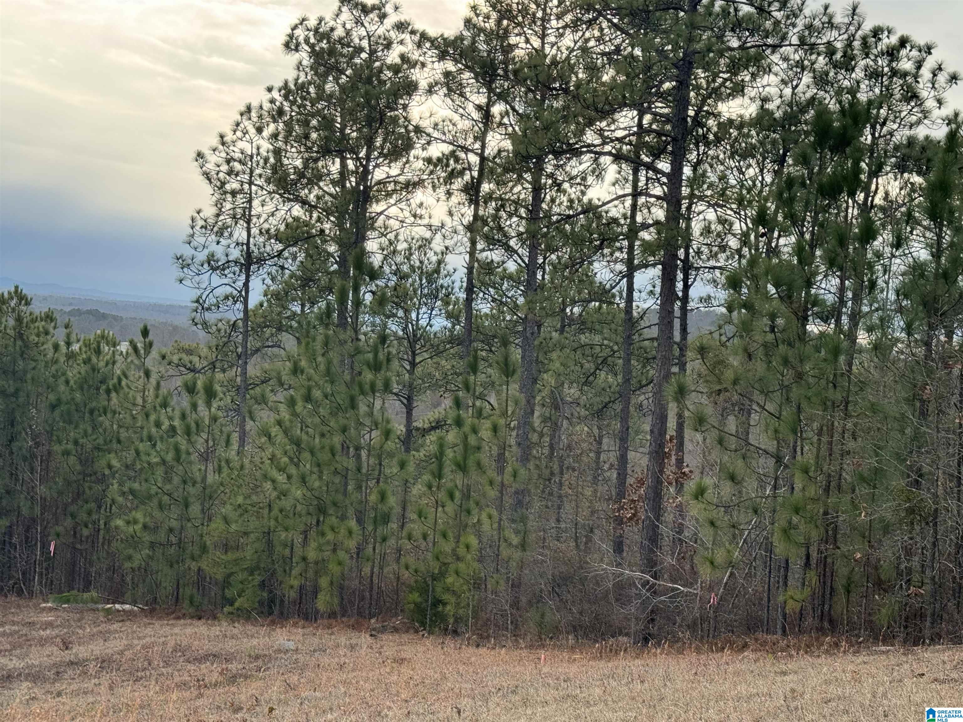 223 Mountain Ridge Road, Unit 65A AND 66A Oxford, AL 36203 - Photo 32 of 37 Gallery Image 32