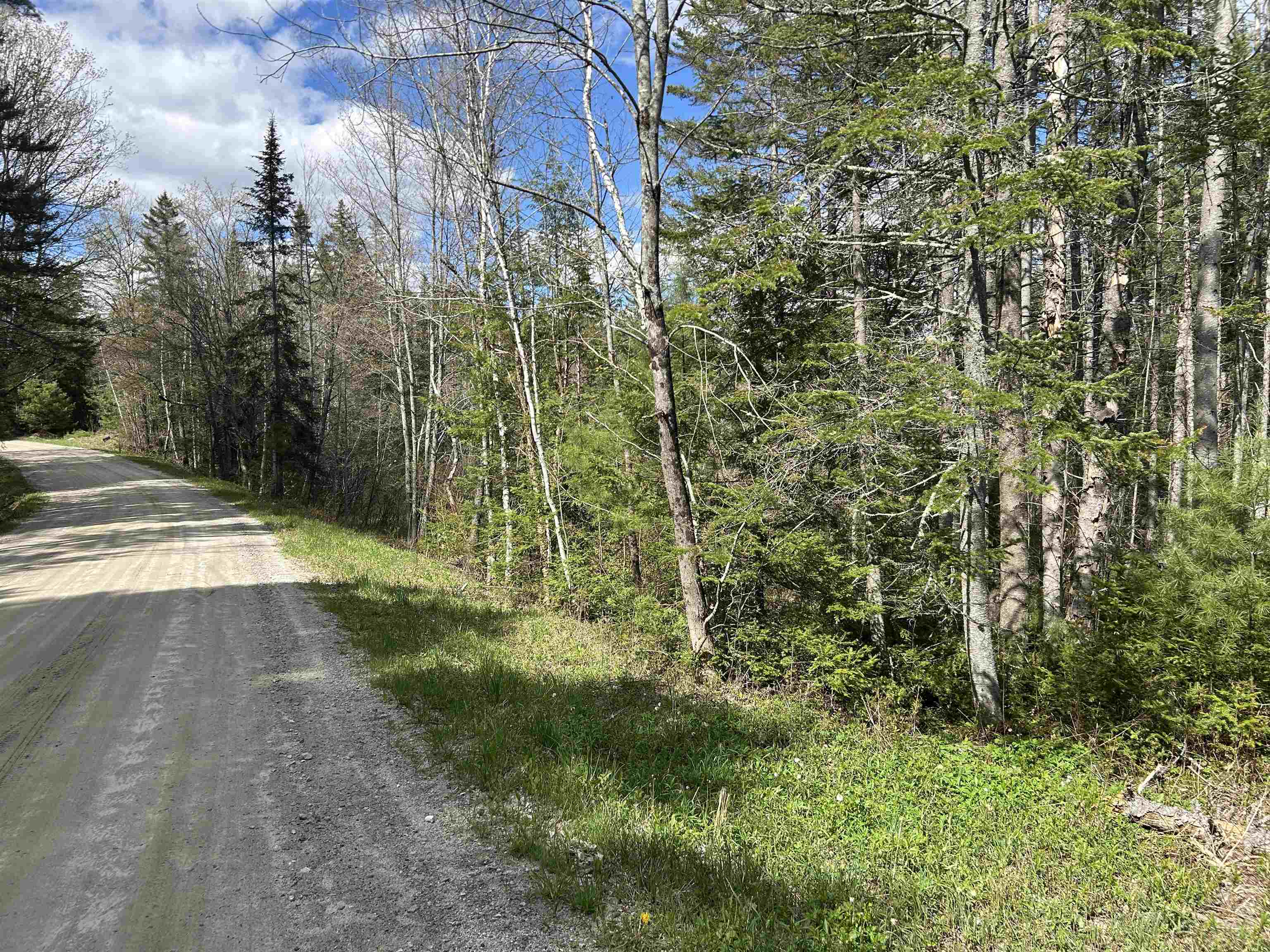 0 Boynton Road Londonderry, VT 05148 - Photo 1 of 20
