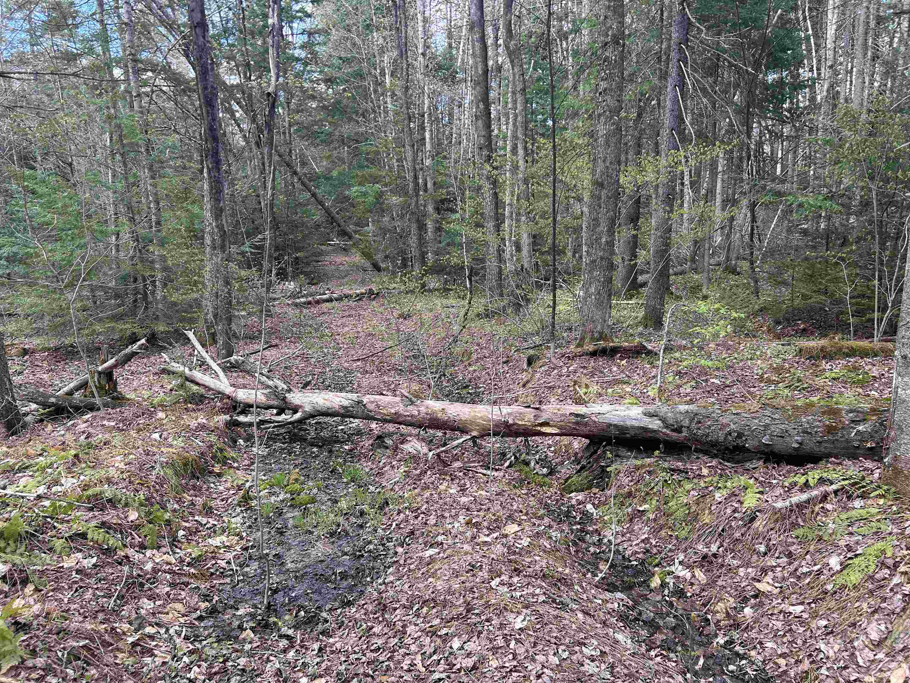 0 Boynton Road Londonderry, VT 05148 - Photo 11 of 20