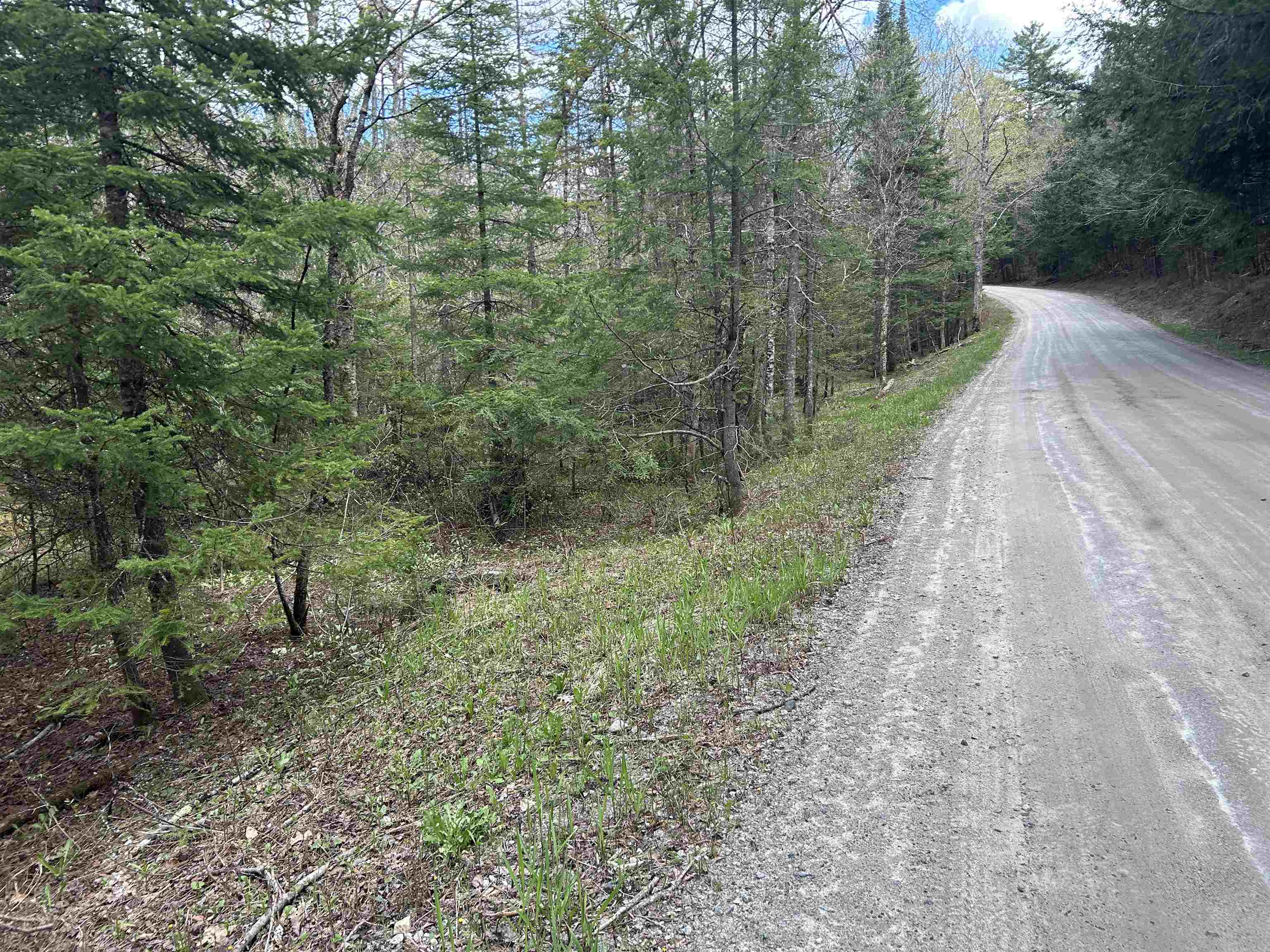 0 Boynton Road Londonderry, VT 05148 - Photo 19 of 20