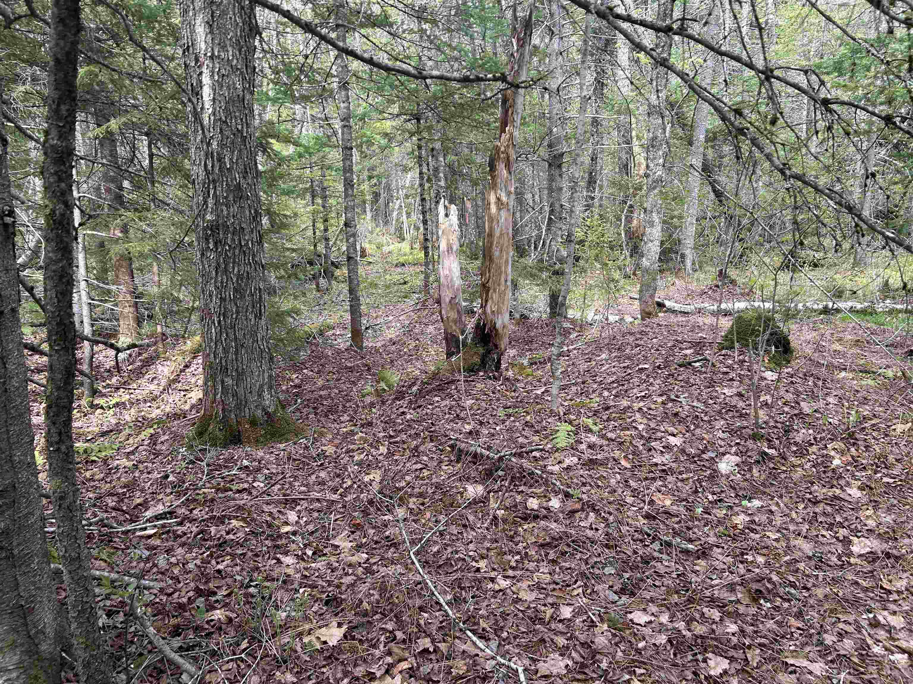 0 Boynton Road Londonderry, VT 05148 - Photo 20 of 20