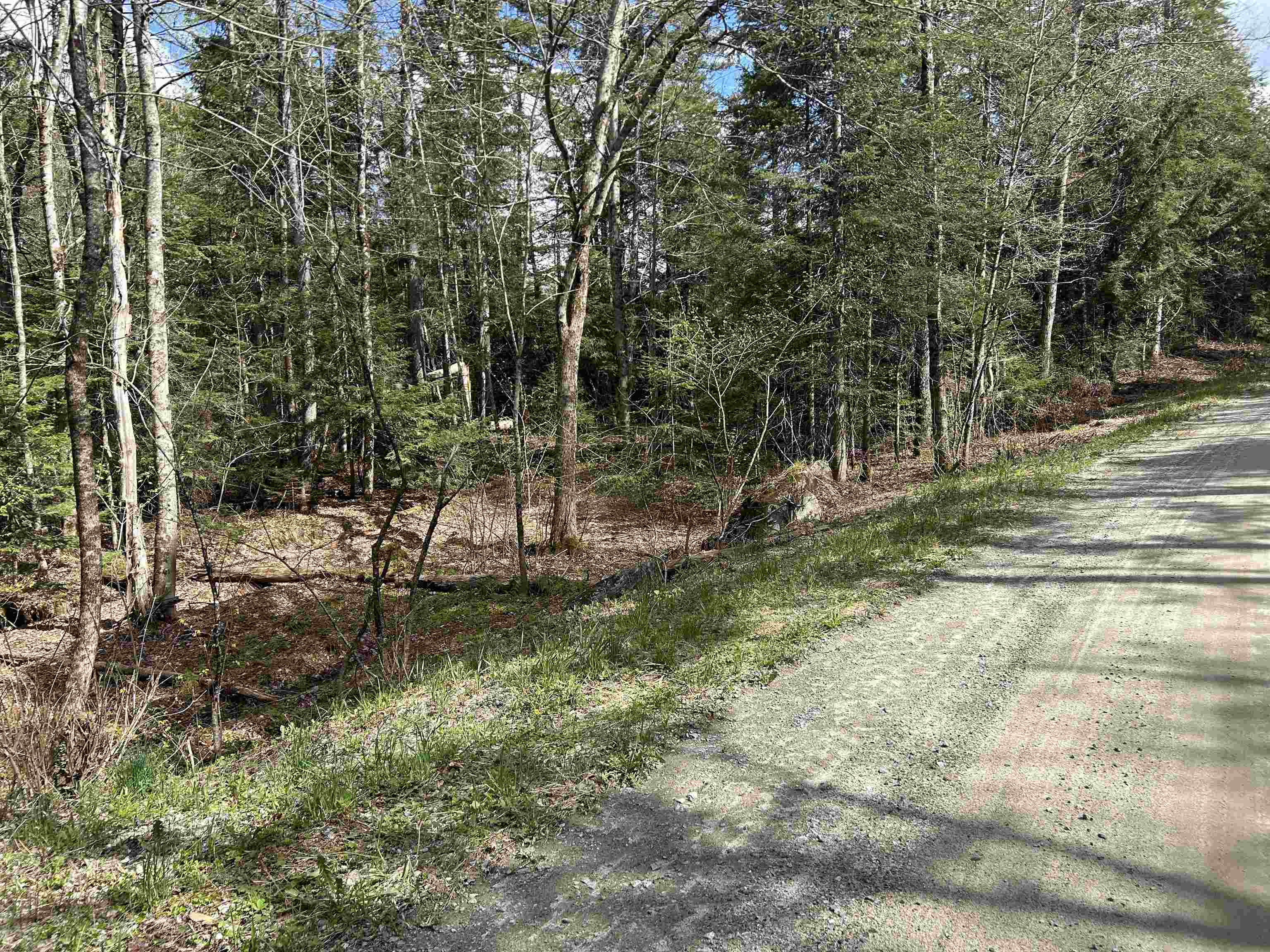 0 Boynton Road Londonderry, VT 05148 - Photo 3 of 20