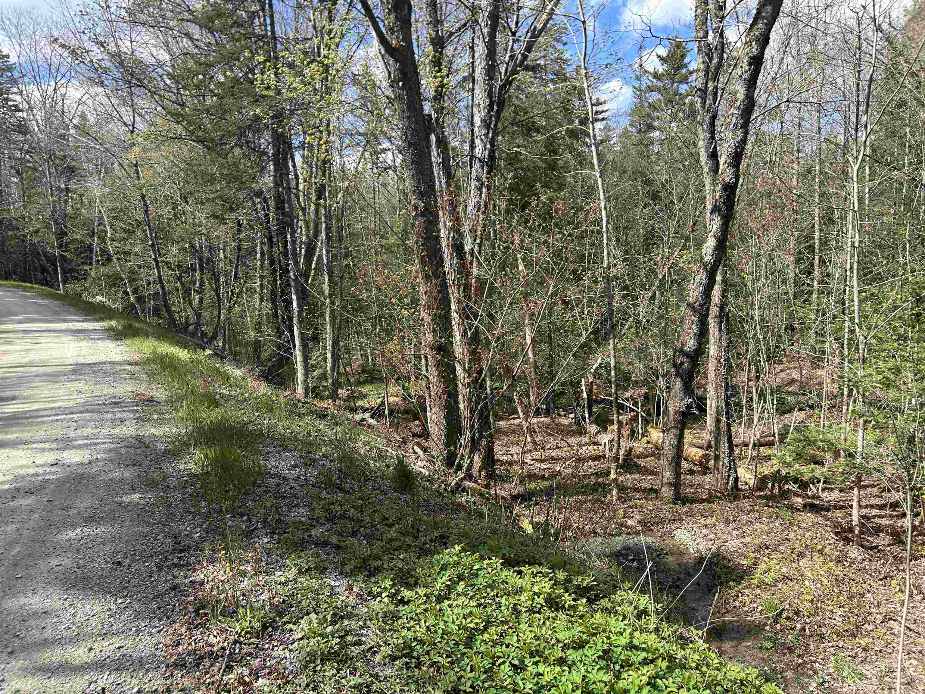 0 Boynton Road Londonderry, VT 05148 - Photo 7 of 20