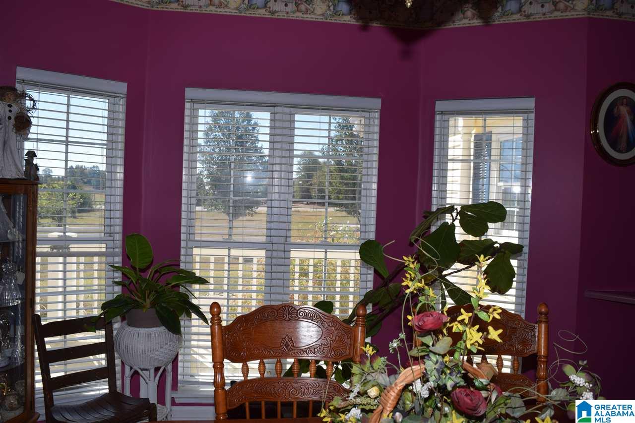 46 Odice Branham Road Hayden, AL 35079 - Photo 19 of 50
