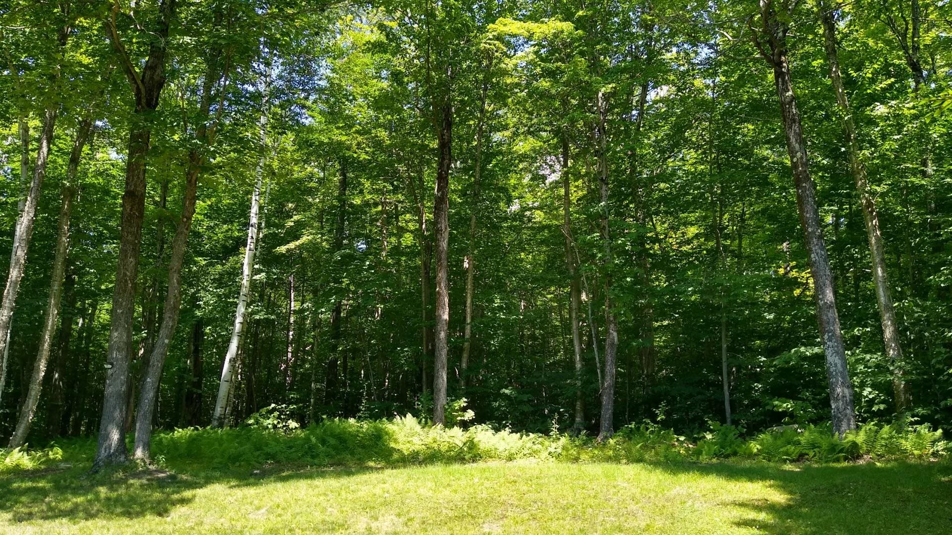 69 Slawson Road Weston, VT 05161 - Photo 7 of 40