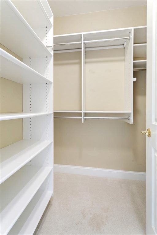 248 Albion Street, Unit 233 Wakefield, MA 01880 - Photo 26 of 39 a view of an empty walk in closet