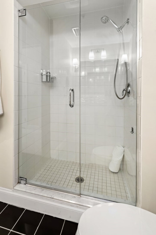 248 Albion Street, Unit 233 Wakefield, MA 01880 - Photo 29 of 39 a bathroom with a shower