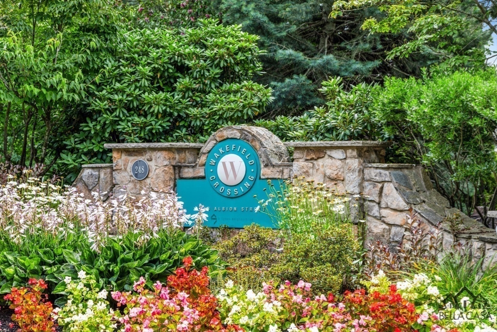 248 Albion Street, Unit 233 Wakefield, MA 01880 - Photo 6 of 39 a view of a tree with a yard