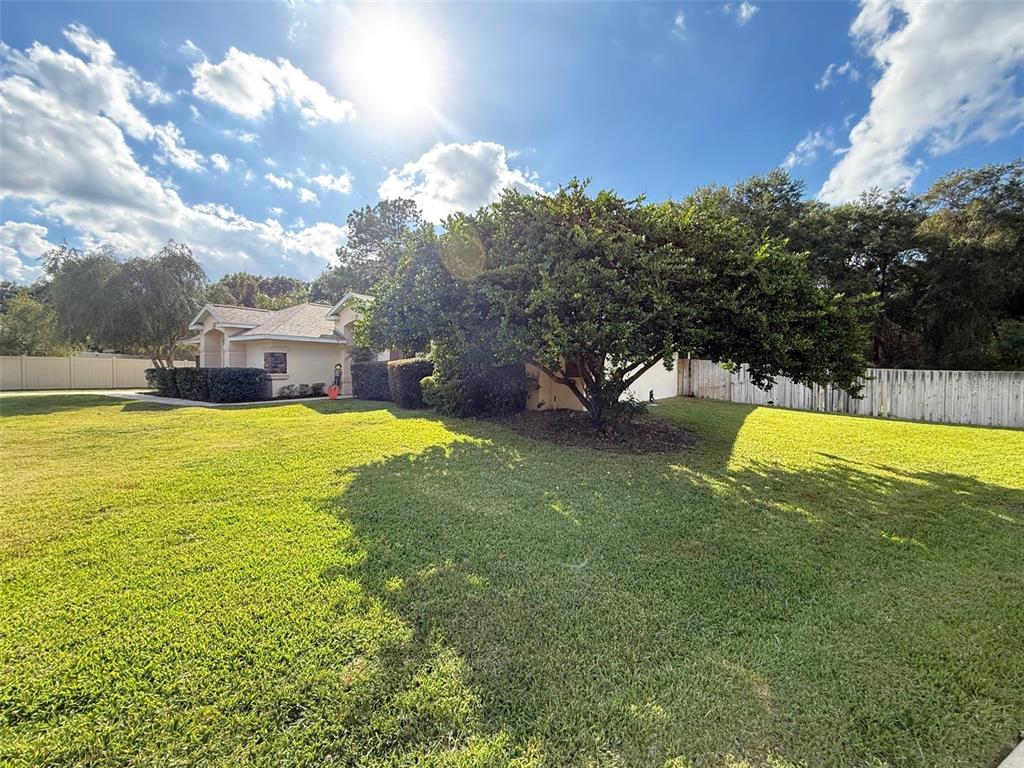 4980 Southeast 47th Terrace Road Ocala, FL 34480 - Photo 5 of 54 a view of a swimming pool with a yard and a large tree