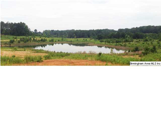 73 County Road, Unit 195 Randolph, AL 36792 - Photo 13 of 13