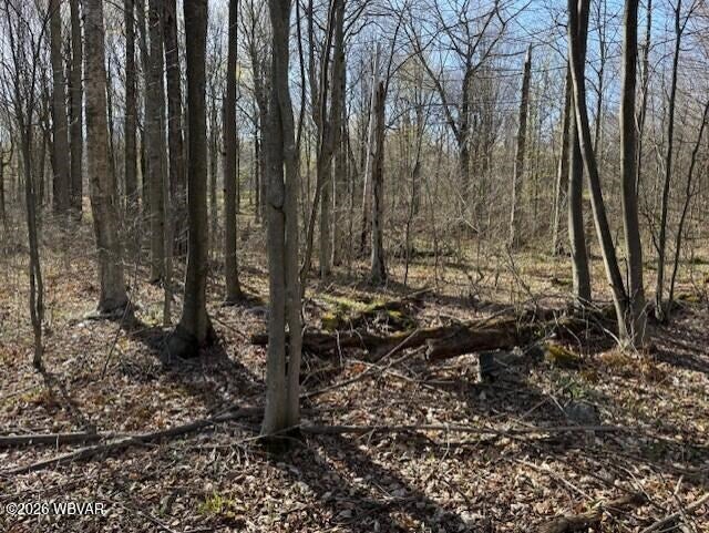 037 Revelation Road Shunk, PA 17768 - Photo 10 of 13 Gallery Image 10