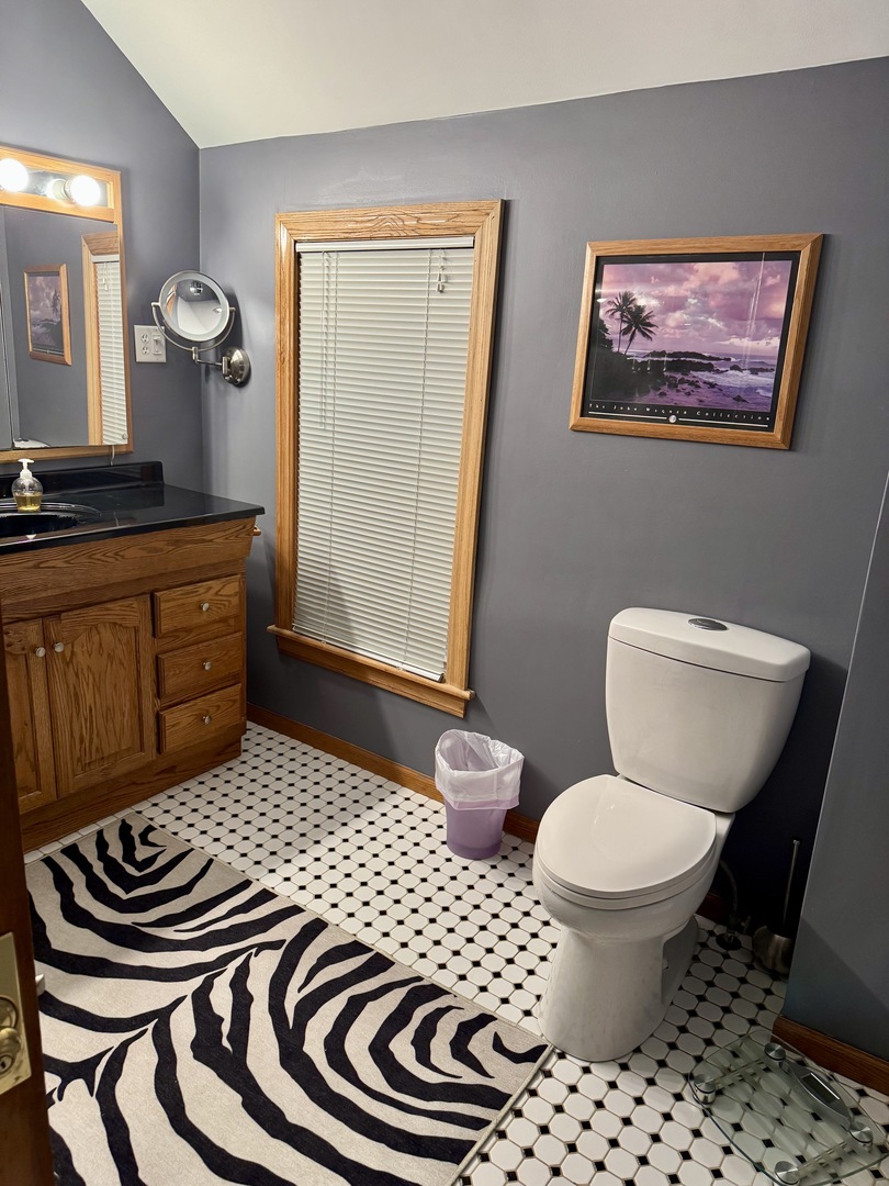 301 West Jackson Street Ohio, IL 61349 - Photo 16 of 32 a bathroom with a sink a toilet and a mirror