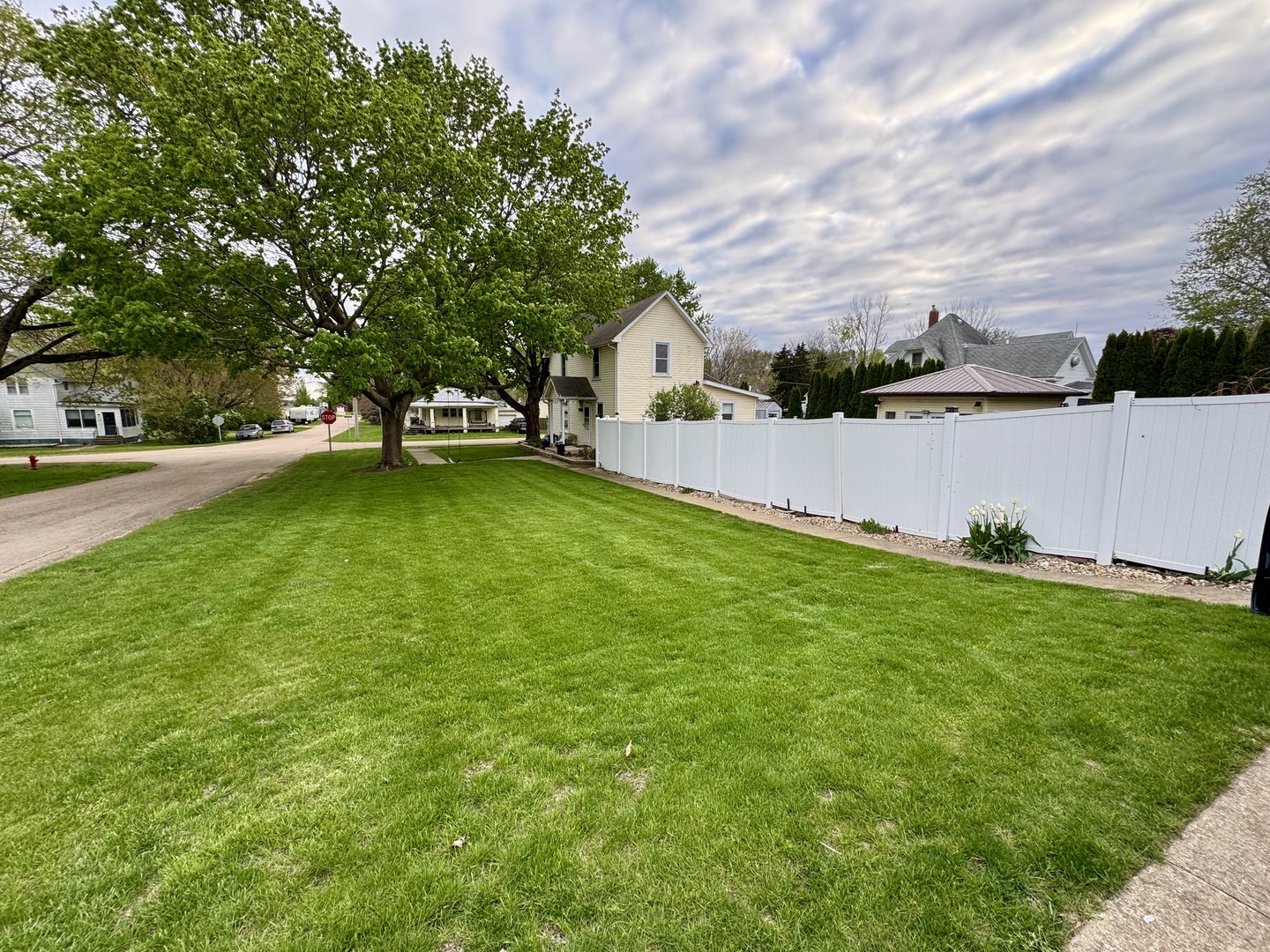 301 West Jackson Street Ohio, IL 61349 - Photo 2 of 32 a view of a yard with swimming pool