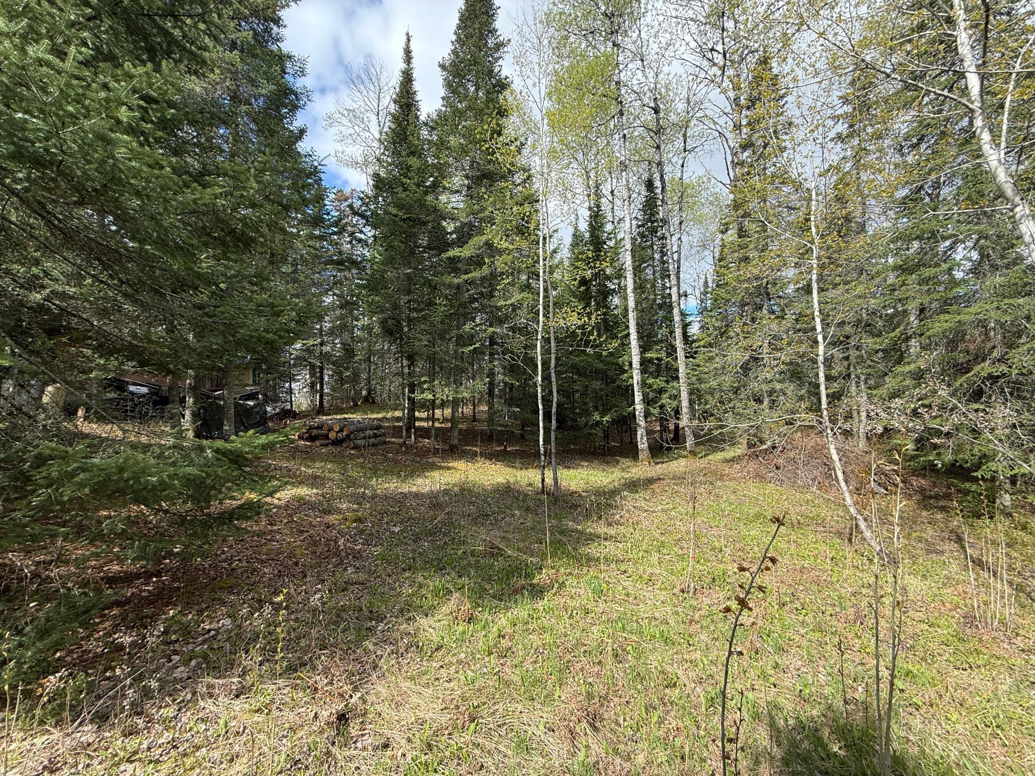 7355 West Melrude Road Cotton, MN 55724 - Photo 31 of 66