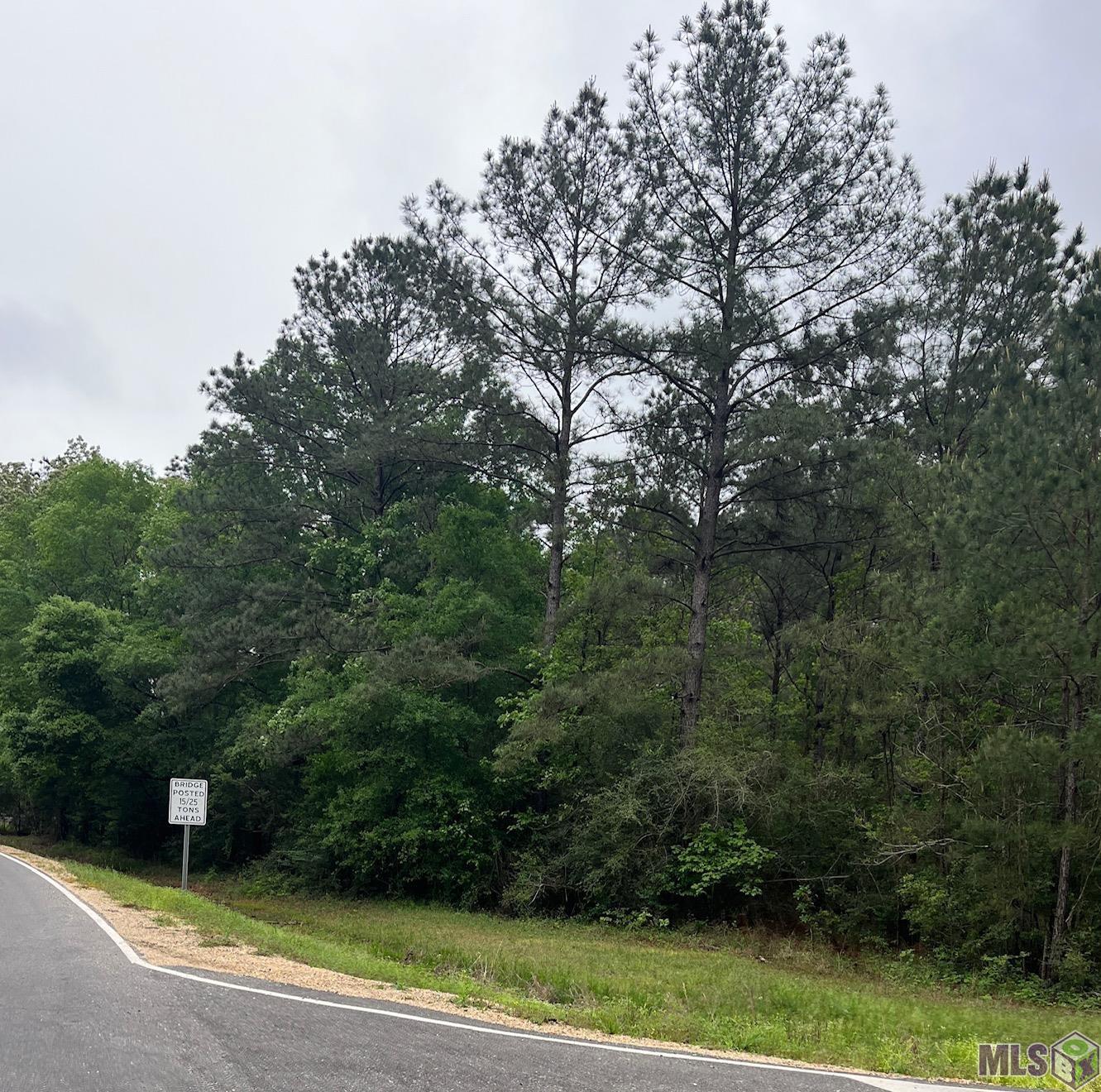 1 Pride-Baywood Road Greenwell Springs, LA 70739 - Photo 1 of 5