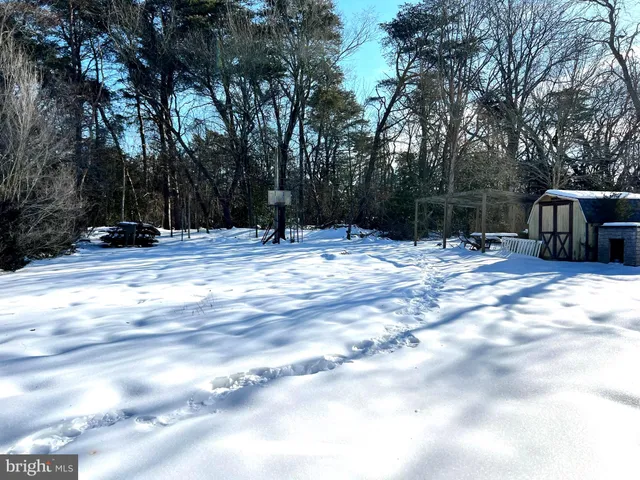 a view of outdoor space with trees