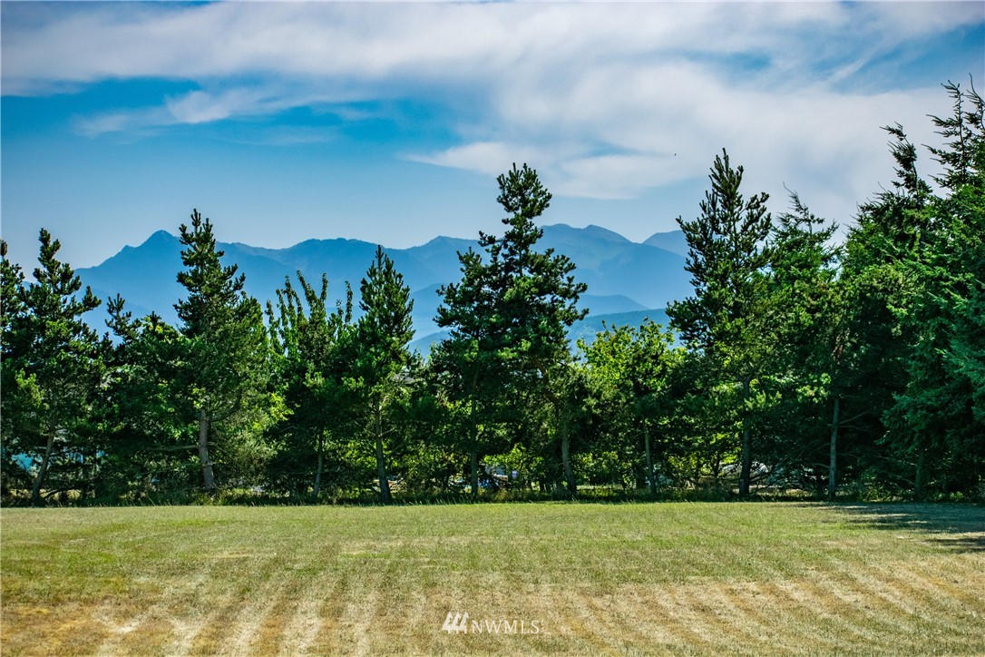 9999 Donaper Road Sequim, WA 98382 - Photo 12 of 24 a view of a lake view
