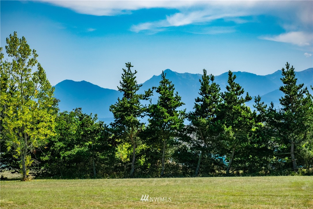 9999 Donaper Road Sequim, WA 98382 - Photo 13 of 24 a view of a big yard