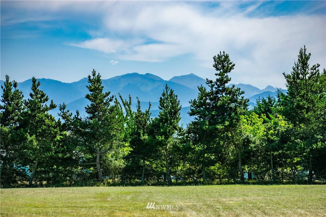 9999 Donaper Road Sequim, WA 98382 - Photo 14 of 24 a view of a yard
