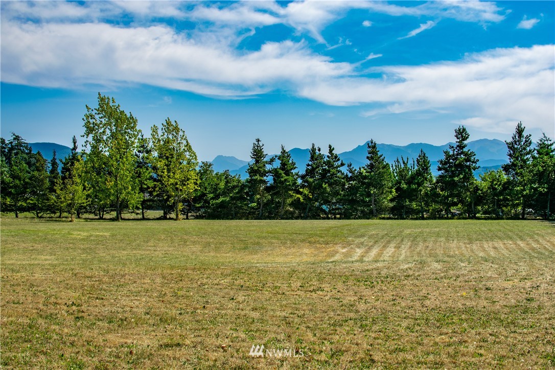 9999 Donaper Road Sequim, WA 98382 - Photo 5 of 24 a view of a field with an ocean