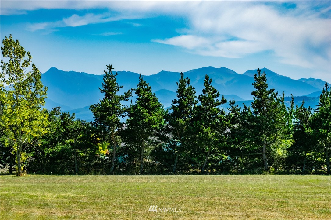 9999 Donaper Road Sequim, WA 98382 - Photo 10 of 24 a view of a yard