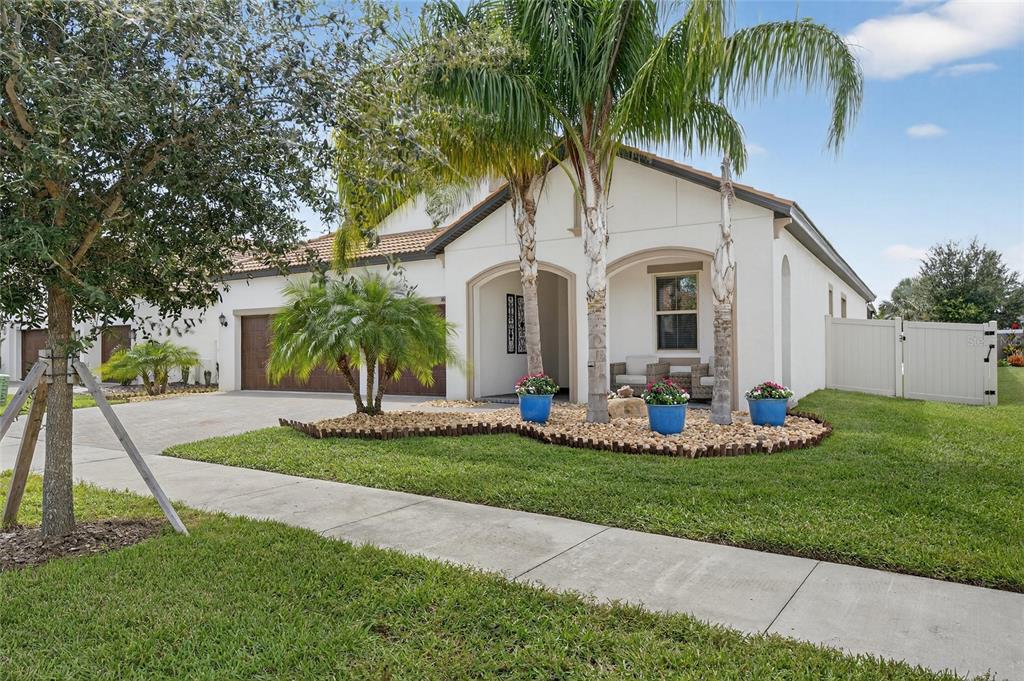 16805 Banner Shell Place Wimauma, FL 33598 - Photo 1 of 44 a front view of a house with a yard and palm trees