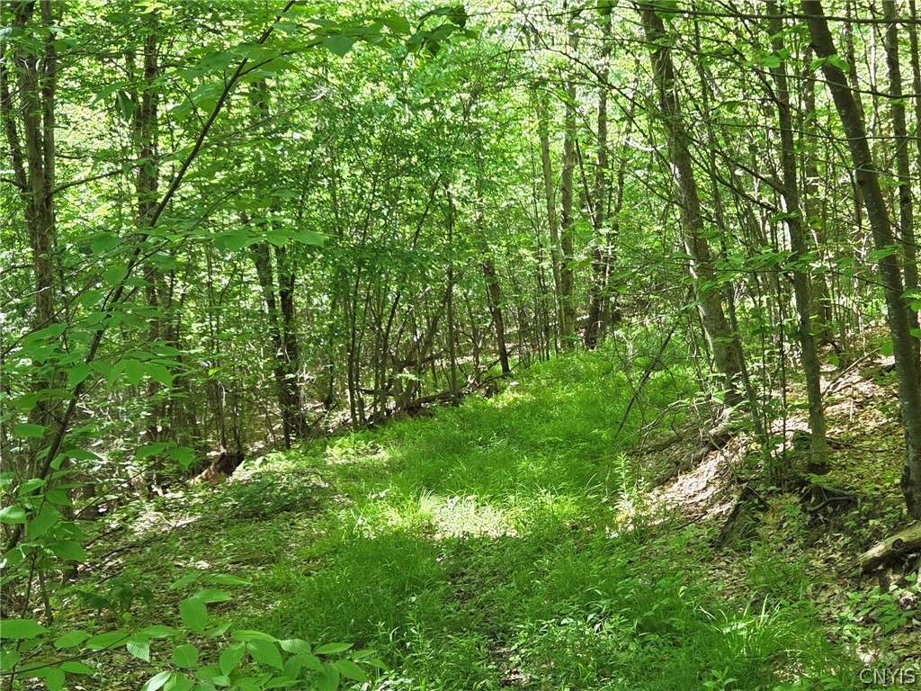 446 Nys Route Cuba, NY 14727 - Photo 24 of 47