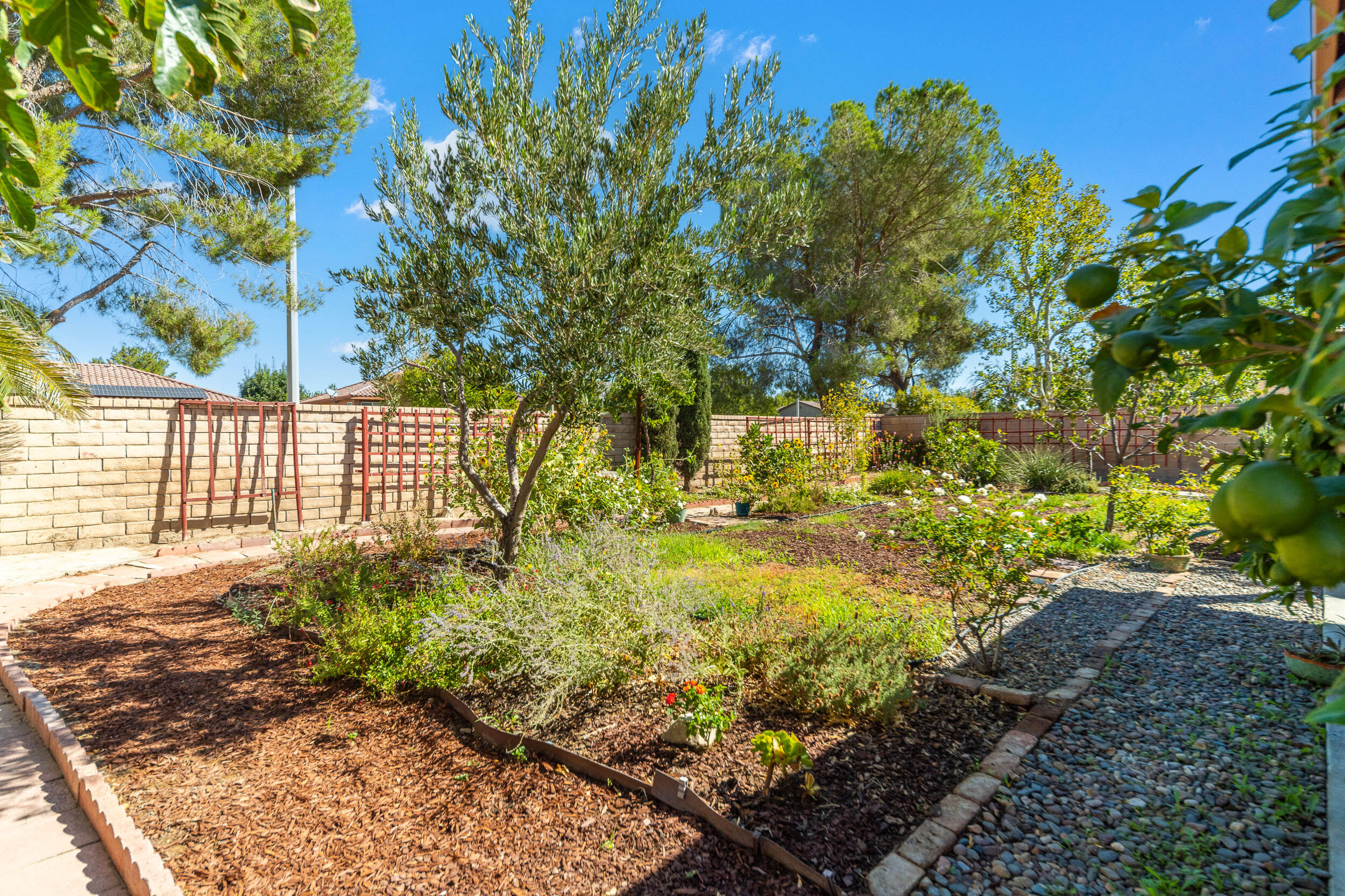 2145 Limewood Lane Lancaster, CA 93536 - Photo 27 of 31 Limewood-26