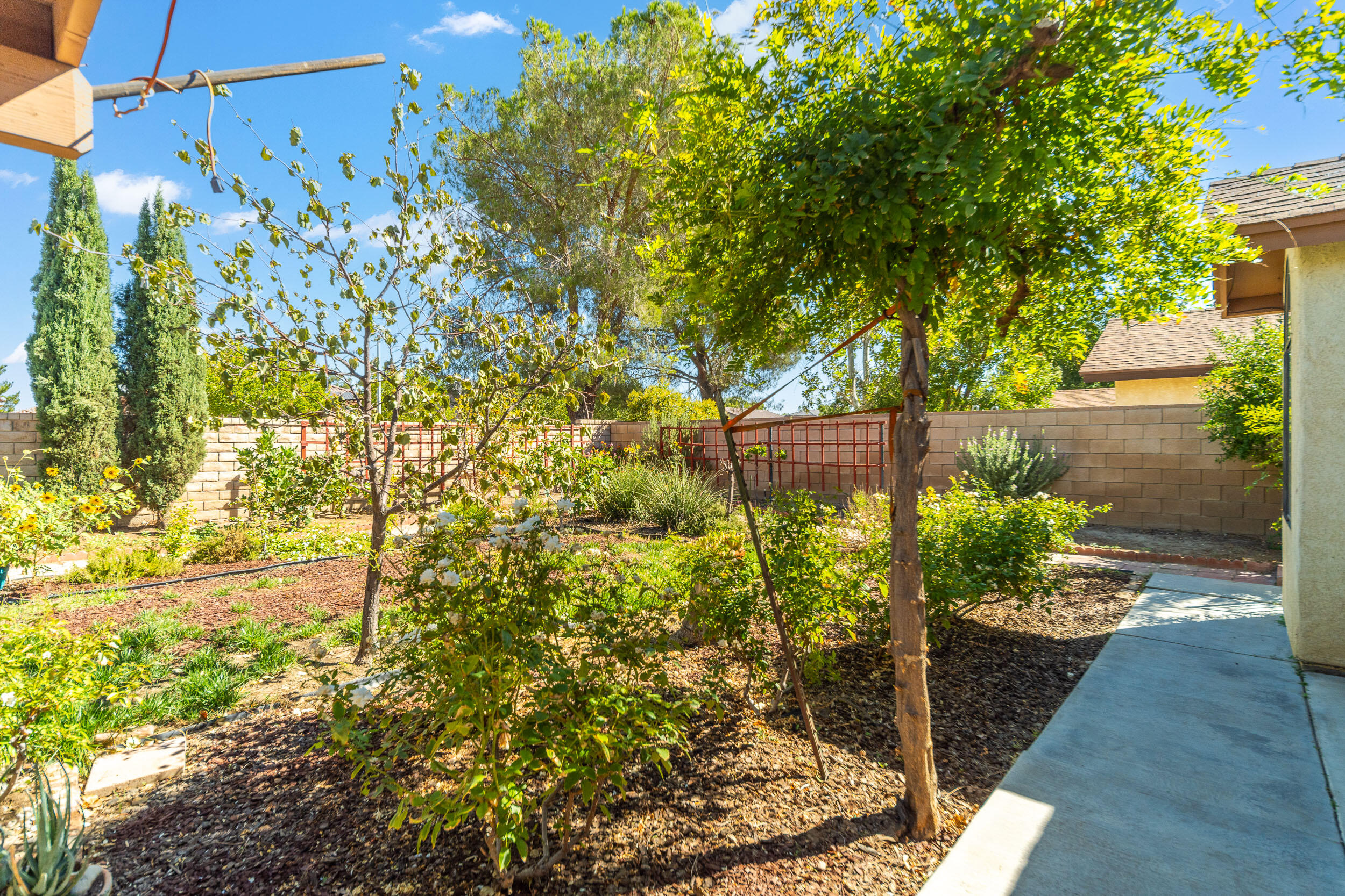 2145 Limewood Lane Lancaster, CA 93536 - Photo 29 of 31 Limewood-28