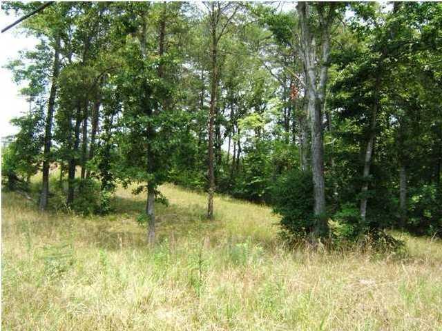 7 Hudlow Loop Road, Unit 7 Dunlap, TN 37327 - Photo 5 of 7 7 hudlow 4.jpg