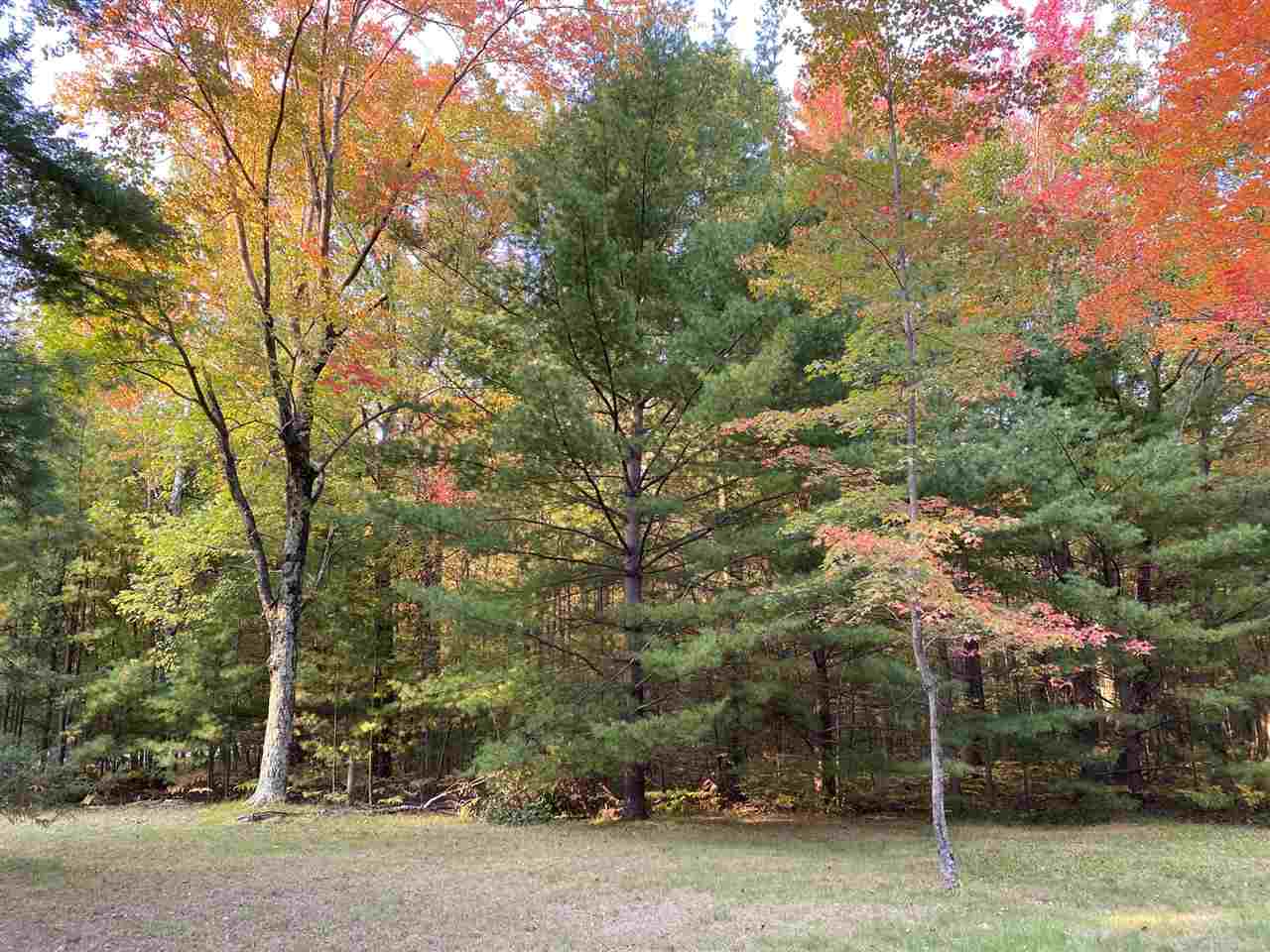 4950 Bensch Road Alger, MI 48610 - Photo 12 of 31 Gallery Image 12
