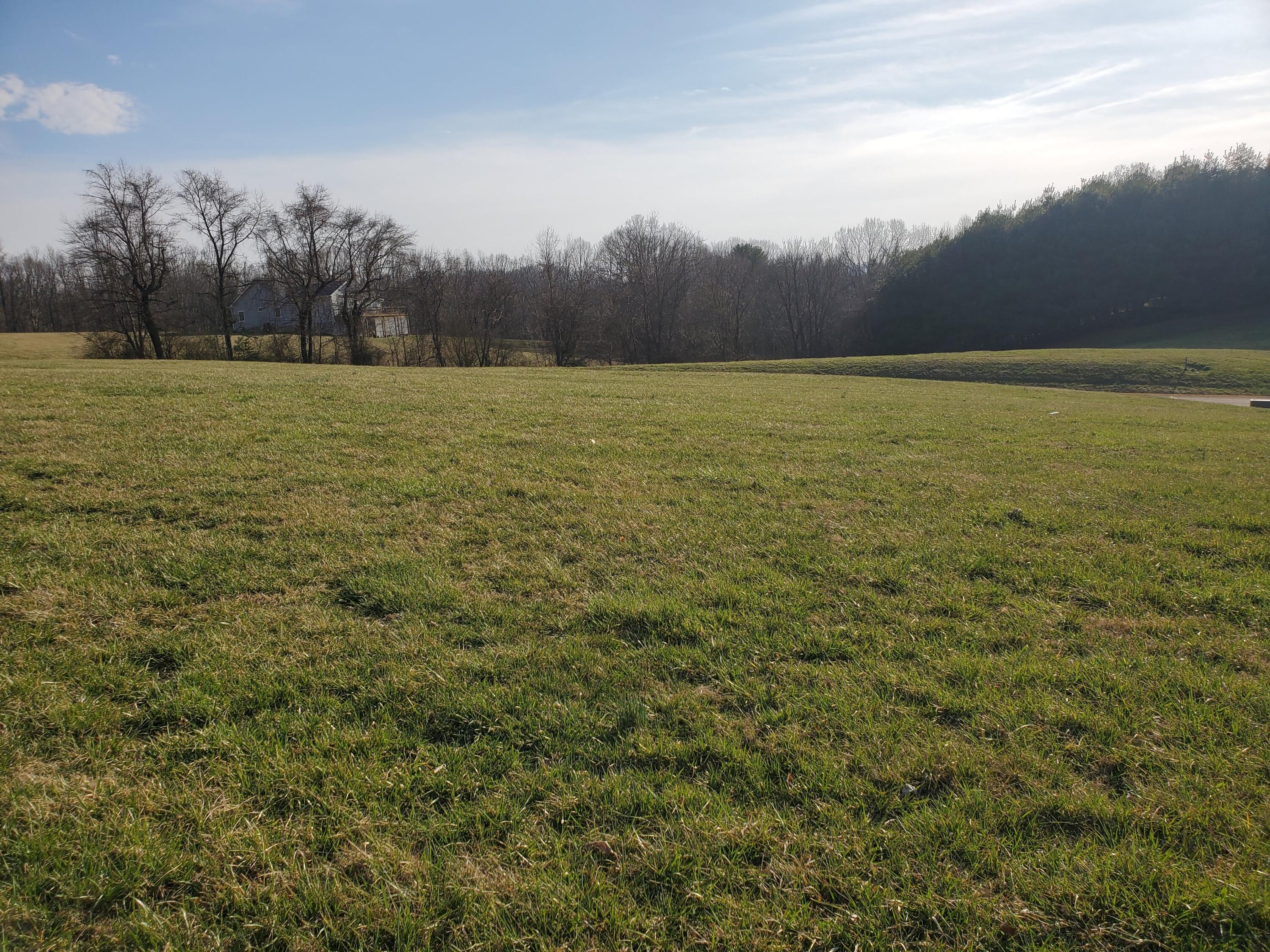 Lot 5 Deer Ridge, Unit 5 Butler, TN 37640 - Photo 11 of 31 12