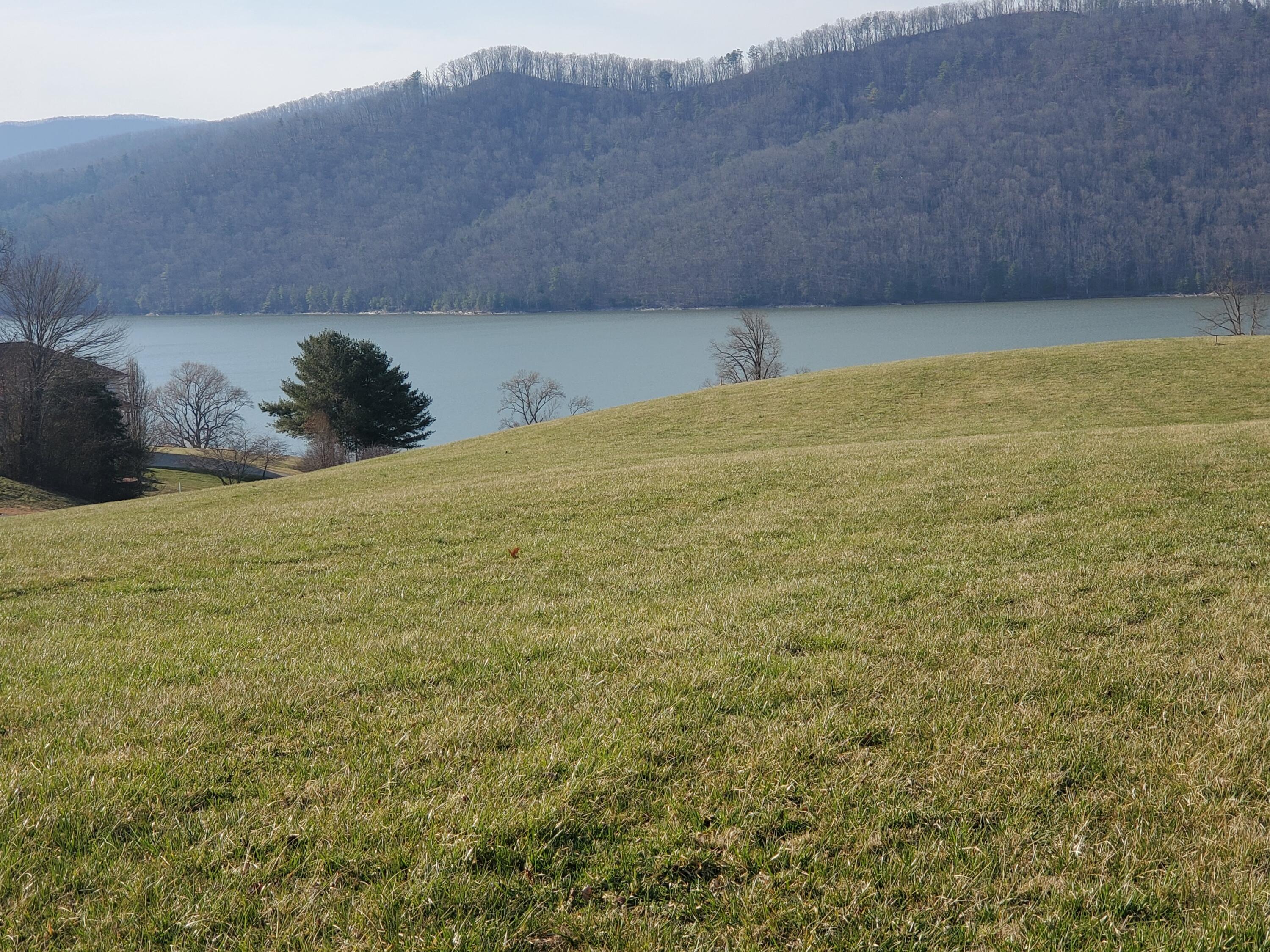 Lot 5 Deer Ridge, Unit 5 Butler, TN 37640 - Photo 6 of 31 6