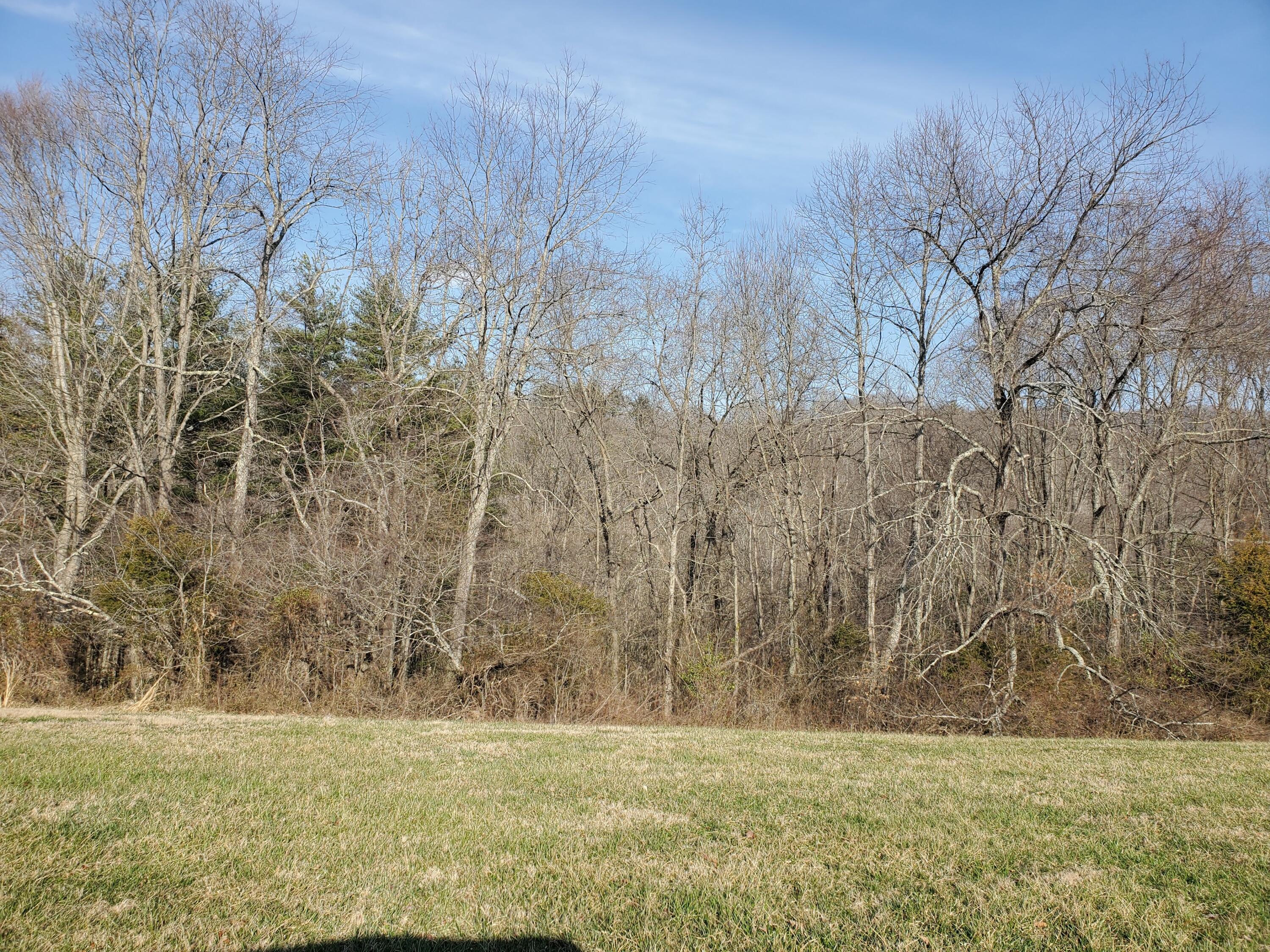 Lot 5 Deer Ridge, Unit 5 Butler, TN 37640 - Photo 9 of 31 Back of Lot