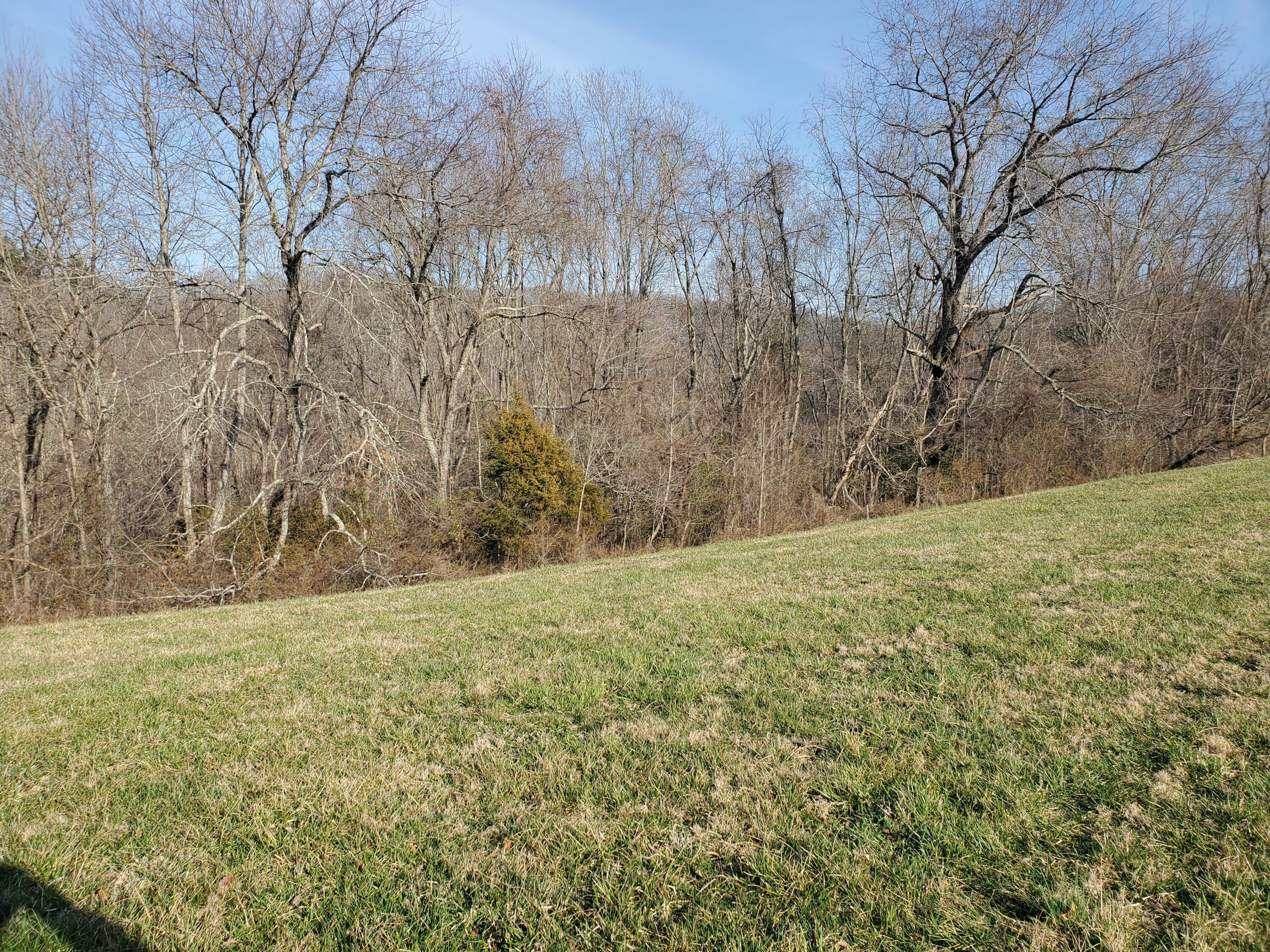 Lot 5 Deer Ridge, Unit 5 Butler, TN 37640 - Photo 10 of 31 Back of Lot
