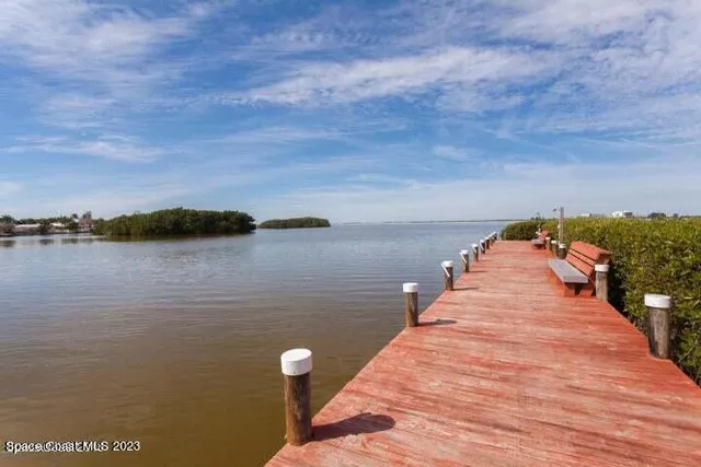 a view of a lake from a yard