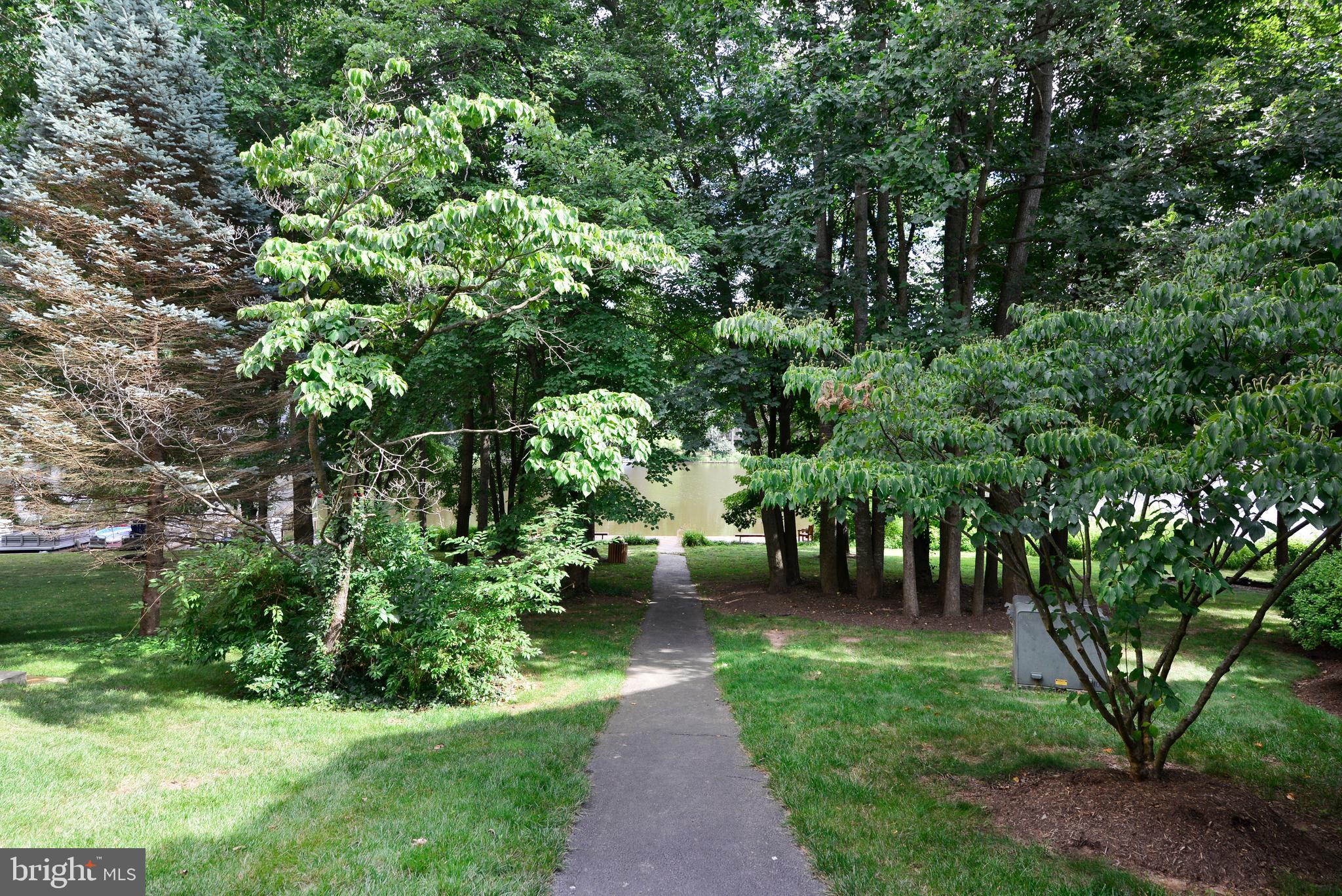 2268 Cedar Cove Court Reston, VA 20191 - Photo 39 of 41 Here is the community path leading to the dock.