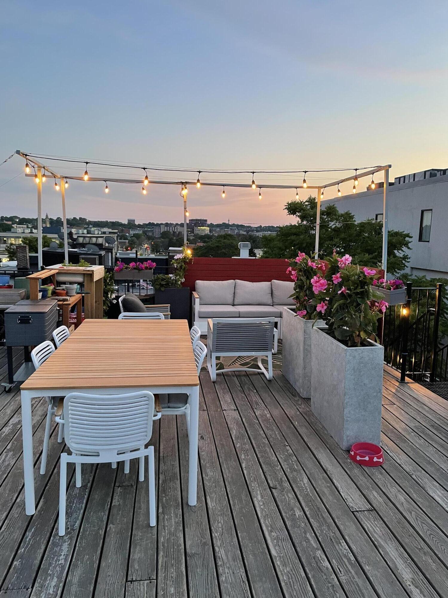 877 Harrison Avenue, Unit 7 Boston, MA 02118 - Photo 34 of 34 rooftop deck